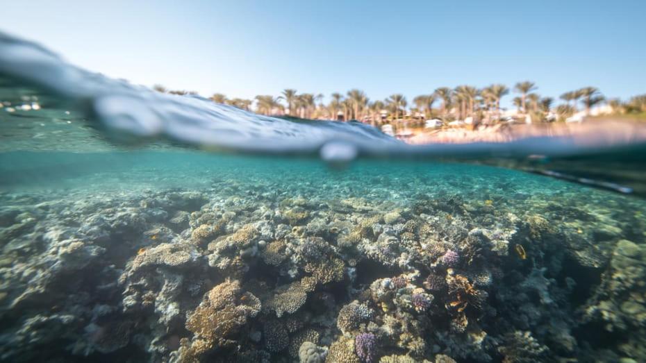 Four Seasons Resort Sharm El Sheikh Private Residential Villa & Chalet - Egypt Luaran gambar